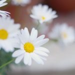 入院3日目 出産