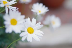 入院3日目 出産