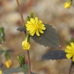 死産から約3週間