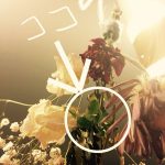 ドライフラワーから新芽が