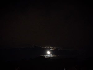 依然下がらぬHCG
