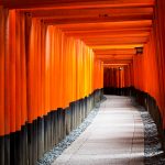 不妊治療のこと