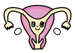 内膜チェック2回目 移植決定