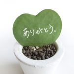 不妊治療終了、その後