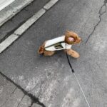 おさんぽすき?きらい?